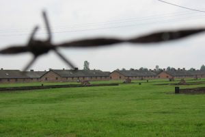 kl-auschwitz-le-vite-fondazione-1563